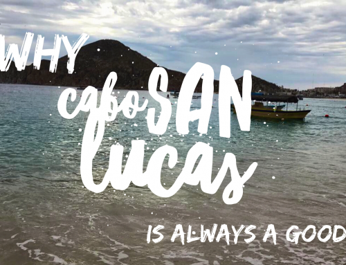 Why Cabo San Lucas is Always a Good Idea